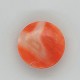 Coral (Moonga) 4.93 Ct Certified Coral (Moonga) 4.93 Ct Certified